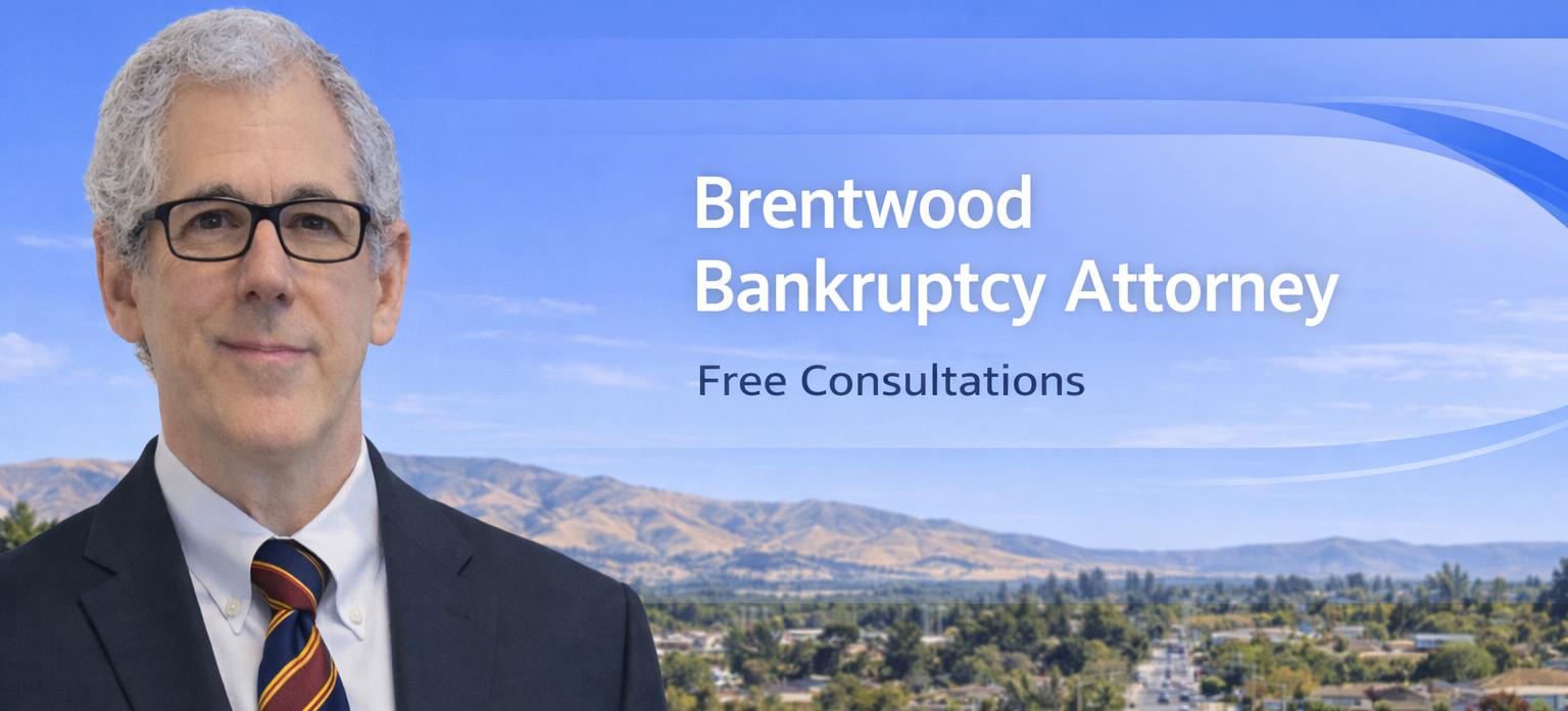 chapter 7 bankruptcy lawyer