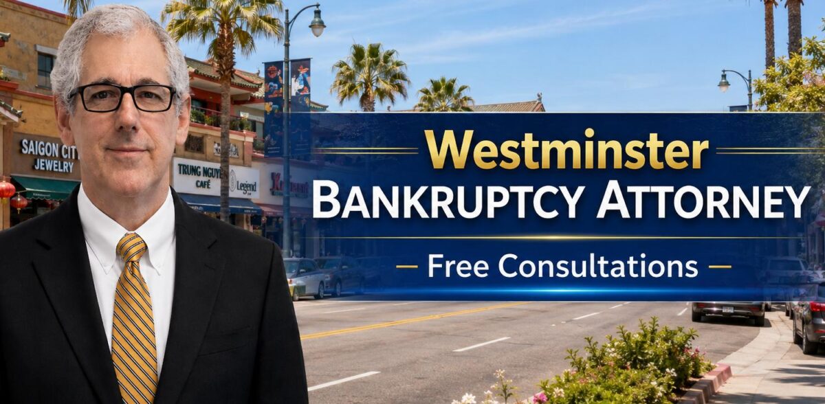 Chapter 7 bankruptcy lawyer