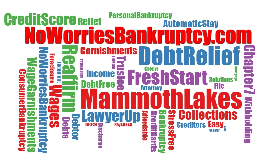 Mammoth Lakes Bankruptcy Attorney