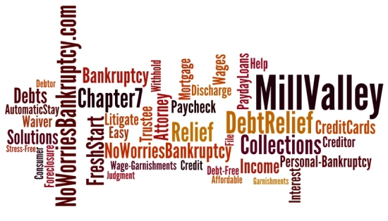 Chapter 7 bankruptcy lawyer in Mill Valley